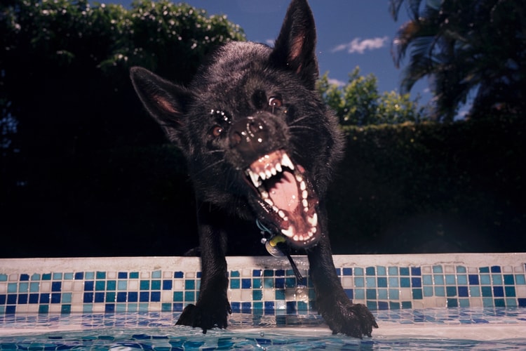 'Breathless in Glowing Air' Captures Beauty Before It's Lost