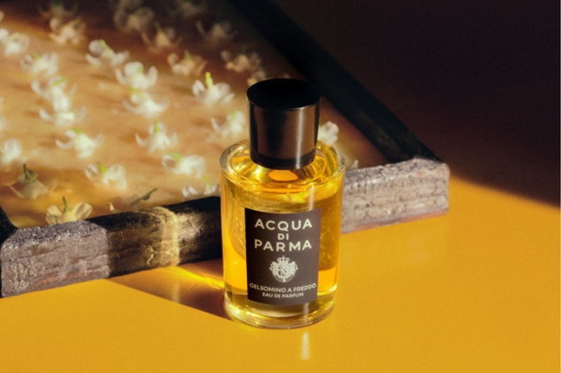 Acqua Di Parmas Gelsomino a Freddo Fragrance Is Crafted Using Ancient Cold Enfleurage Technique