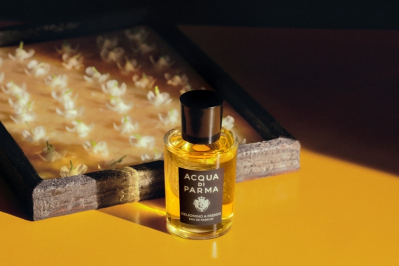 Acqua Di Parma’s “Gelsomino a Freddo” Fragrance Is Crafted Using Ancient Cold Enfleurage Technique Acqua Di Parma’s “Gelsomino a Freddo” Fragrance Is Crafted Using Ancient Cold Enfleurage Technique