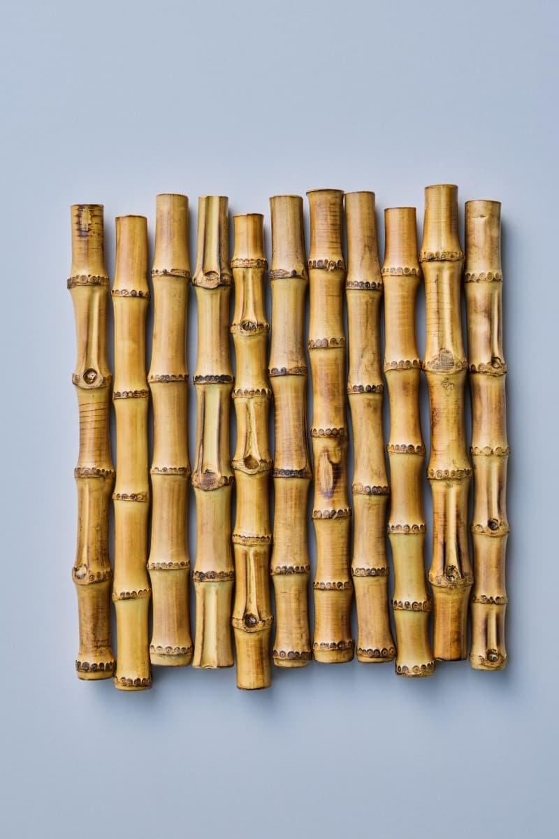 PORTER Yoshida & Co. LUGGAGE LABEL "FILAMENT" Collection Info