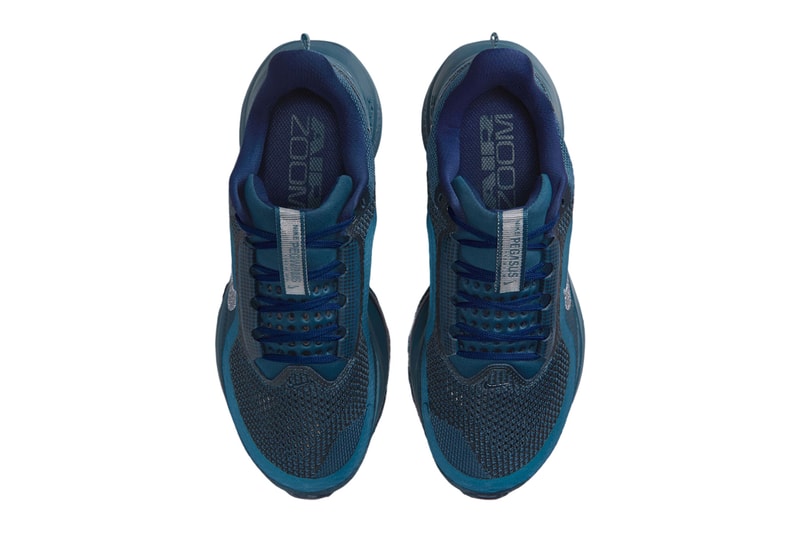 Swarovski Nike Pegasus Premium IM7384-499 Release Info