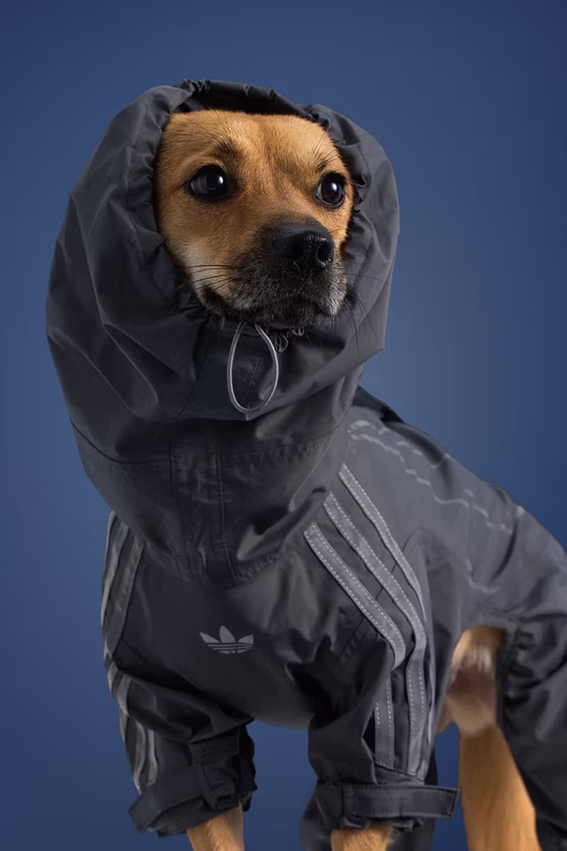 adidas Originals Pet Collection Release Info