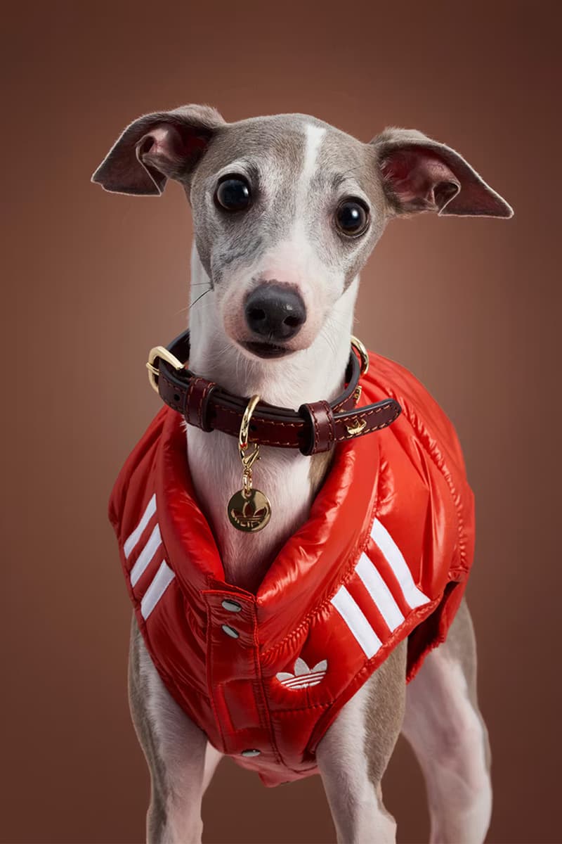 adidas Originals Pet Collection Release Info