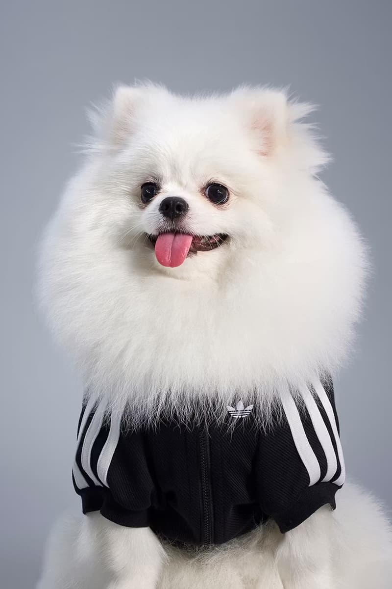 adidas Originals Pet Collection Release Info