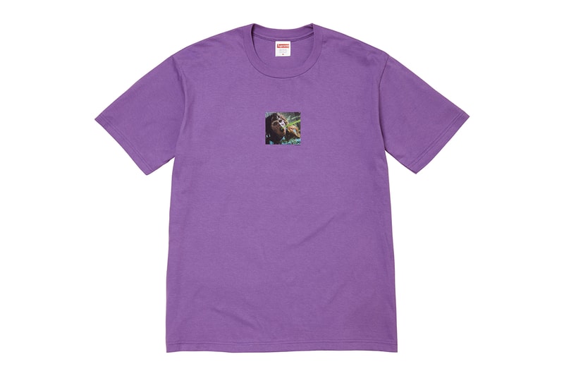 Supreme Fall 2025 Tees Release Info seven new graphics the exorcist all dogs go to heaven