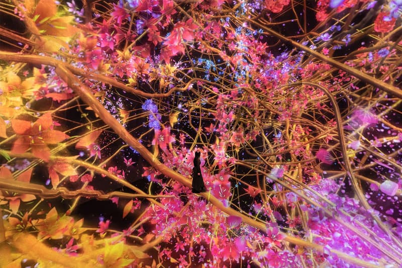 Universe of Existence Universe of Perception teamLab Biovortex Kyoto Opening Info