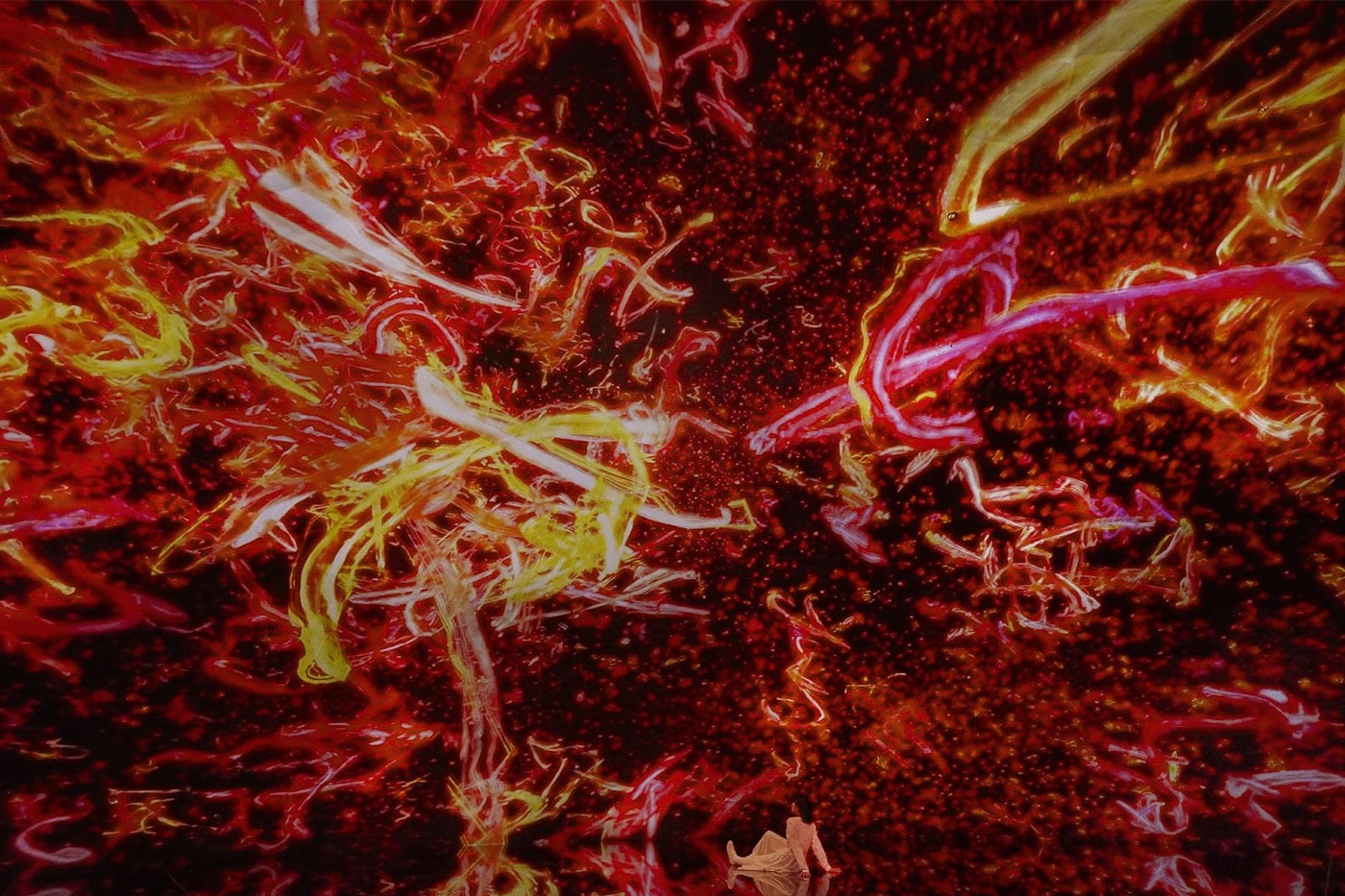 Universe of Existence Universe of Perception teamLab Biovortex Kyoto Opening Info