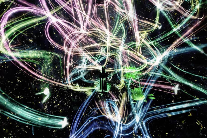 Universe of Existence Universe of Perception teamLab Biovortex Kyoto Opening Info