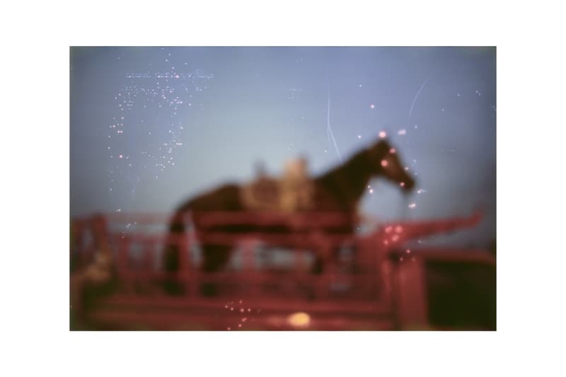 Nan Goldin 'This Will Not End Well' at Pirelli HangarBicocca Art Artworks