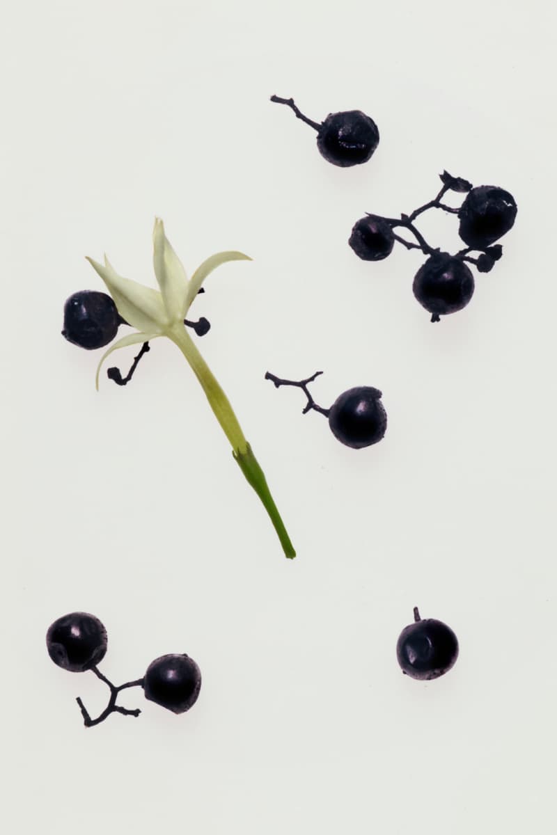 Georg Jensen Debut Scented Candles Collection Info