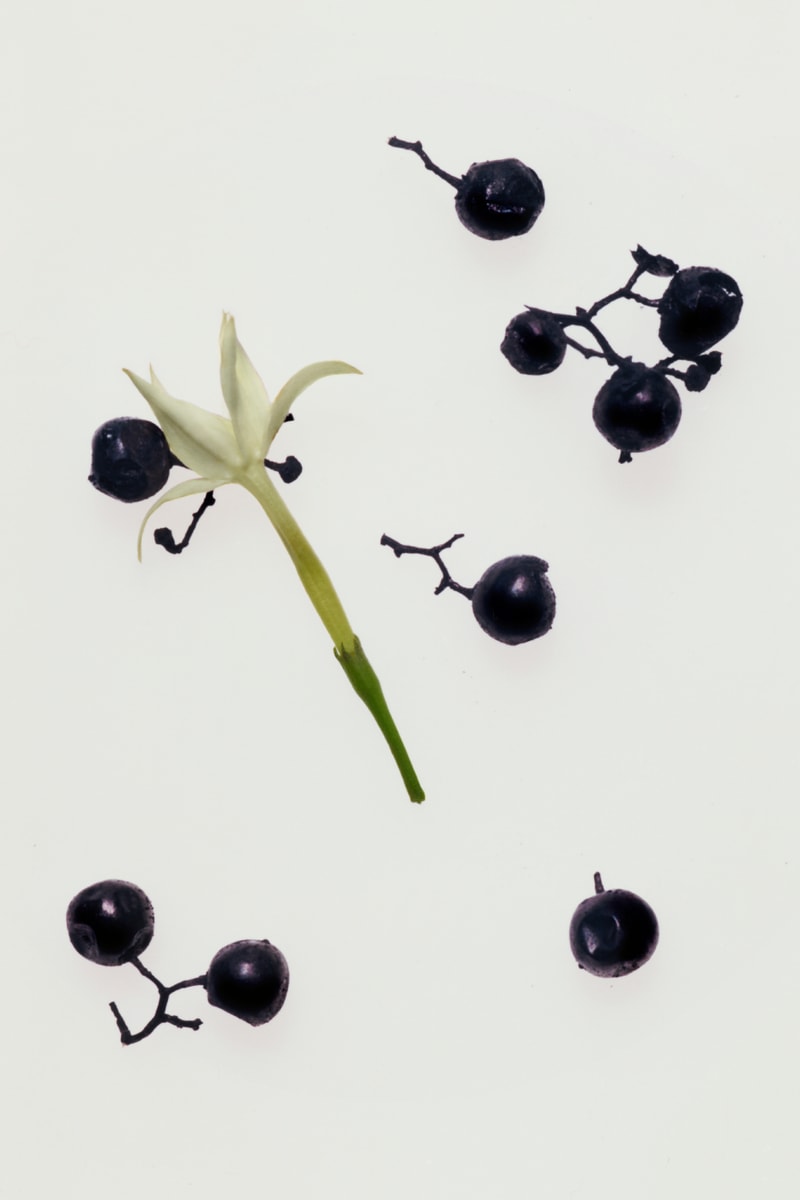 Georg Jensen Debut Scented Candles Collection Info