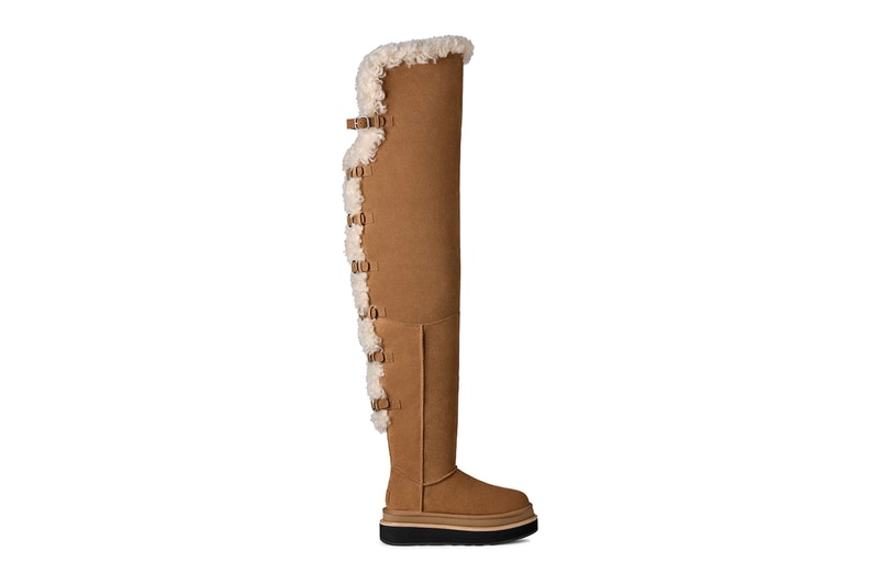UGG sacai loafer UGG sacai Hiker UGG sacai thigh-high boot Chestnut Black Release Info
