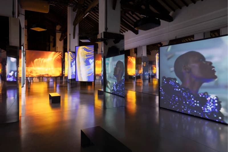 Isaac Julien "All That Changes You. Metamorphosis" Palazzo Te Art Artworks