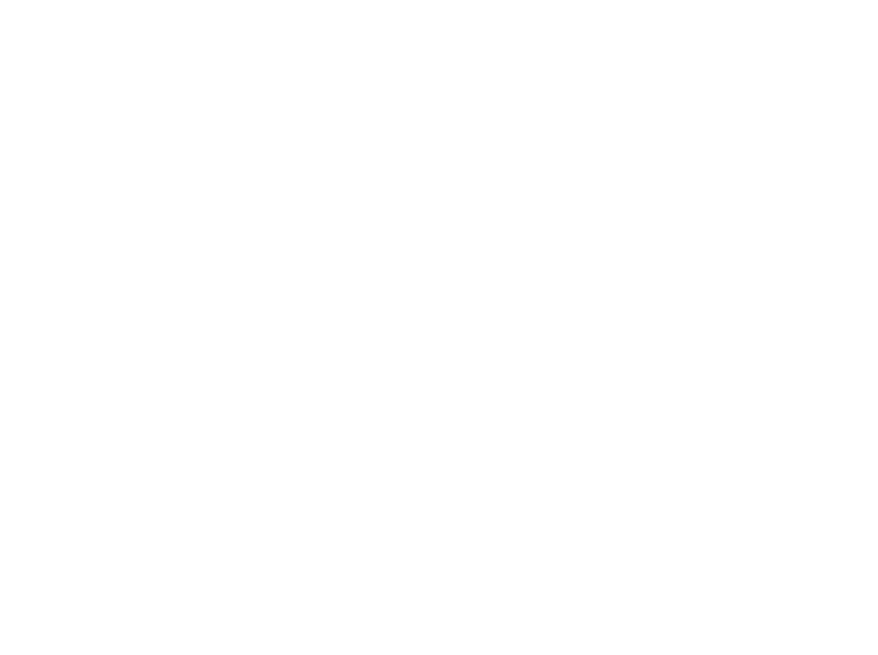 michelob-ultra