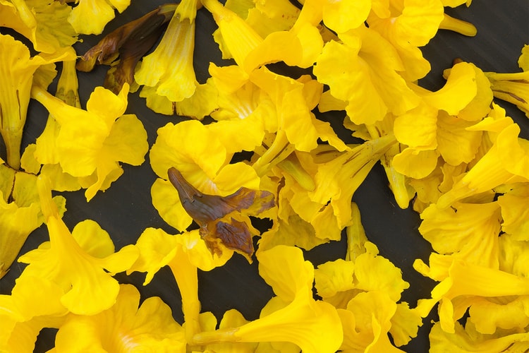 All the Artists Participating in the 15th Shanghai Biennale