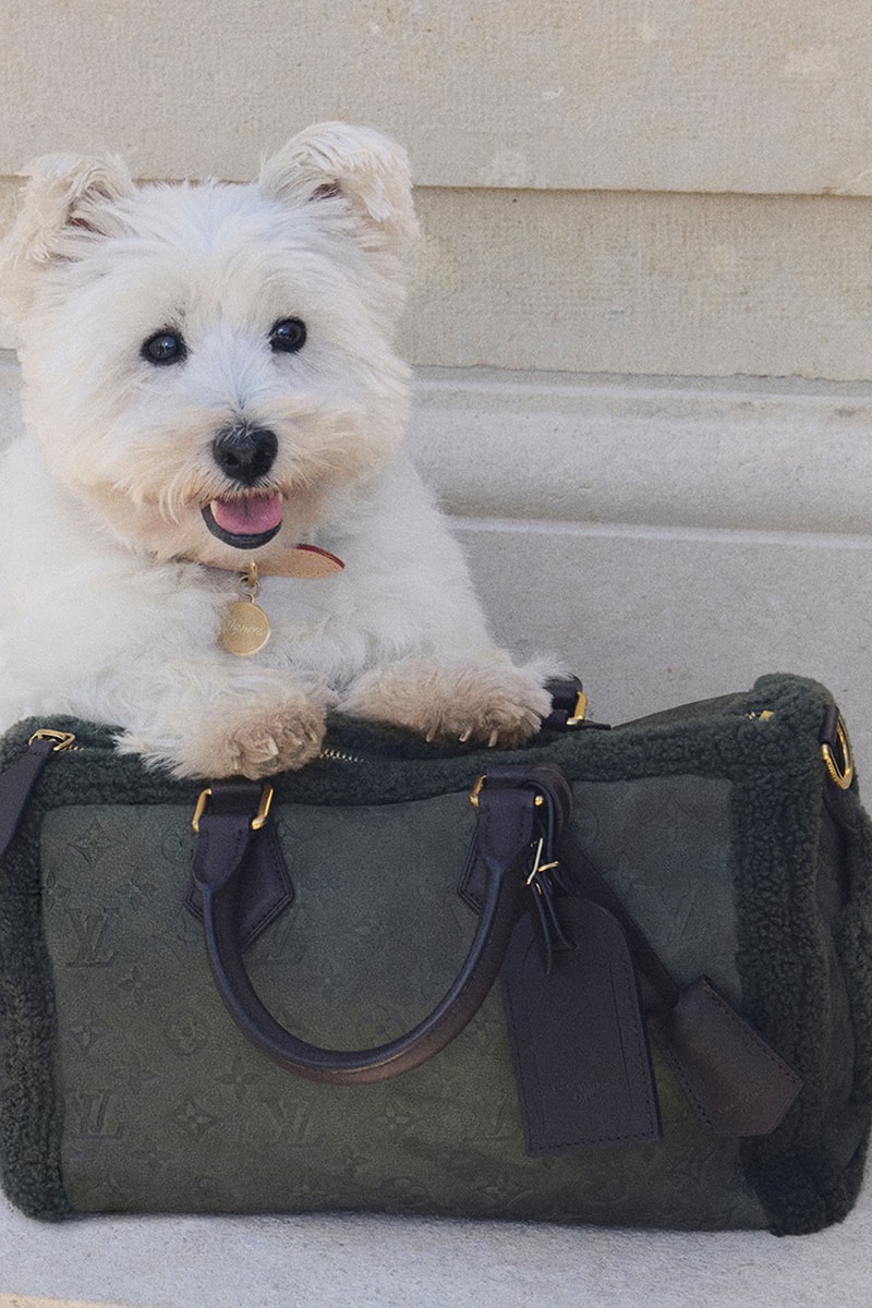 Louis Vuitton Pre-Spring 2026 Collection Release Info