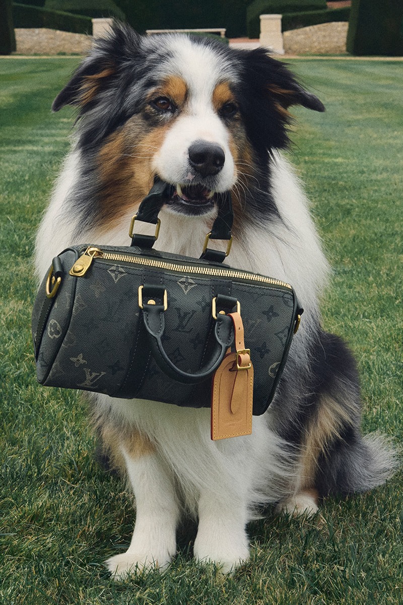Louis Vuitton Pre-Spring 2026 Collection Release Info