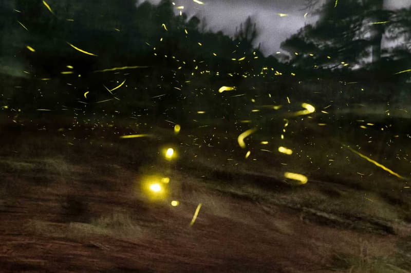 2025 15th Shanghai Biennale Recap overview power station of art 