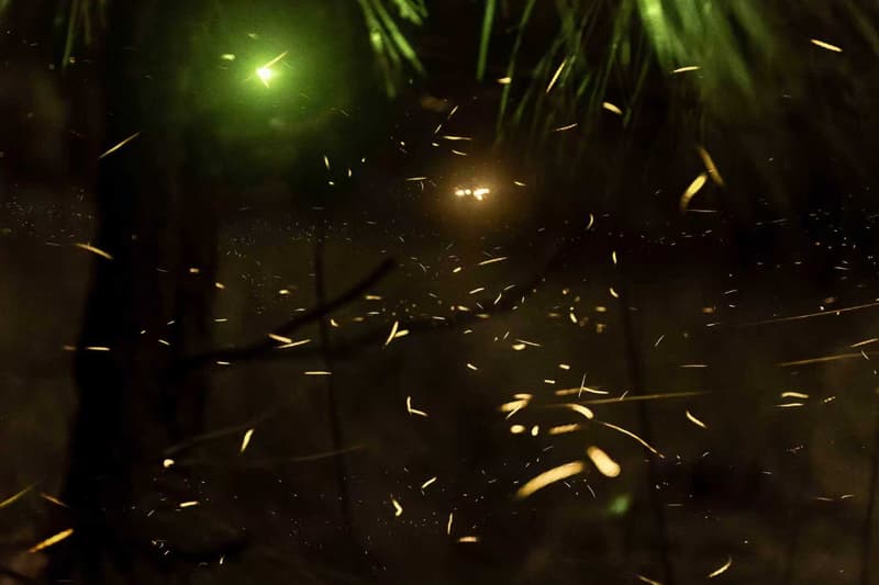 2025 15th Shanghai Biennale Recap overview power station of art 