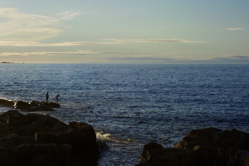 2025 15th Shanghai Biennale Recap overview power station of art 