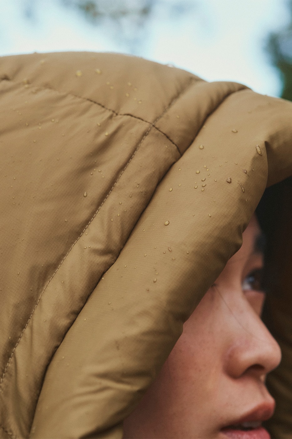 Champion Black Edition FW25 Collection Campaign Release Info