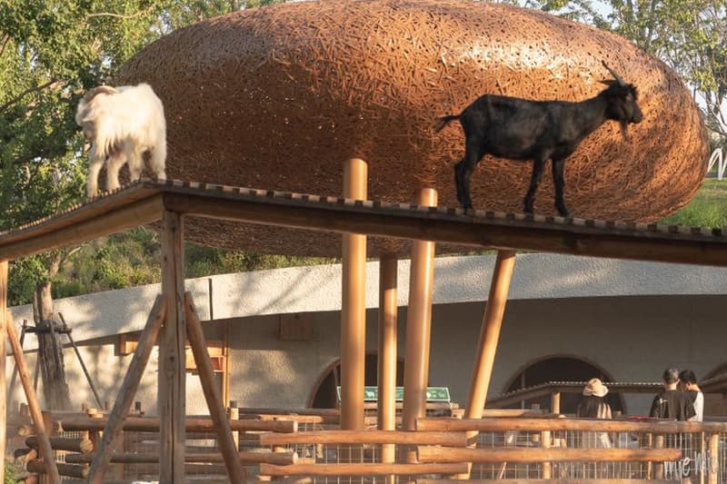 Take a Fantastical Landscape Escape at the LuxeIsland Eco-Farm in China wuhan Zhujia River in Jiang’an District animals urban utopai 