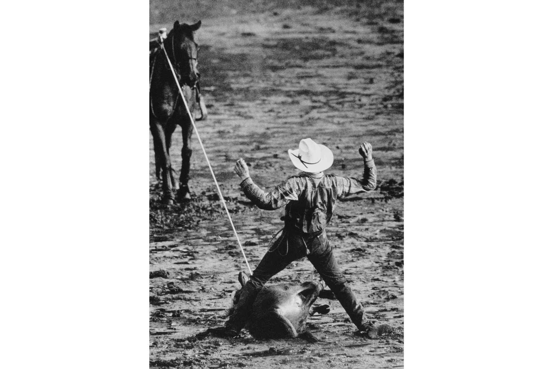 World Press Photo: 70 Prints for 70 Years Sale Art Artworks