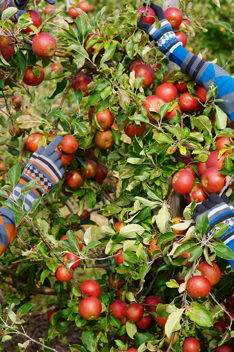 ASICS Novalis Unveils Season 3 Collection Focusing on Versatile Tools for Considered Living Kiko Kostadinov