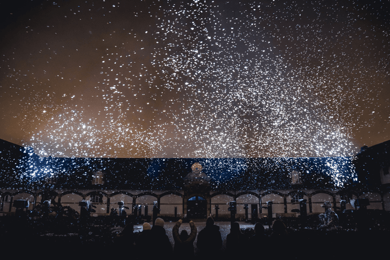 Ruinart Is Lighting Up Reims With a Bio-Illuminated Spectacle