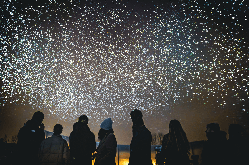 Maison Ruinart, 4 RUE DES CRAYÈRES, Daan Roosegaarde, Pavillon Nicolas Ruinart, 