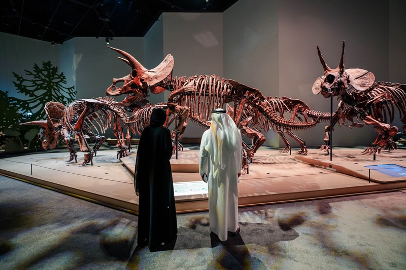 natural history museum abu dhabi opening 2025 saadiyat cultural district Tyrannosaurus Rex earth stan mecanoo blue whale specimen Stegotetrabelodon Emiratus