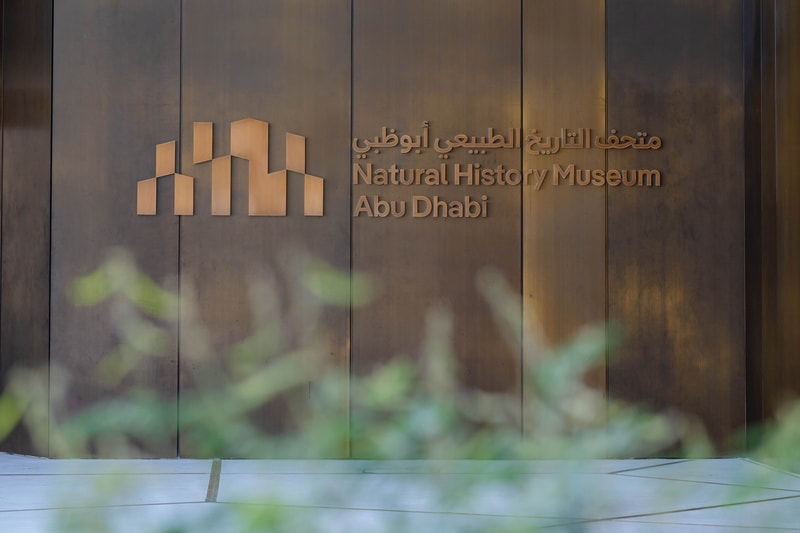 natural history museum abu dhabi opening 2025 saadiyat cultural district Tyrannosaurus Rex earth stan mecanoo blue whale specimen Stegotetrabelodon Emiratus