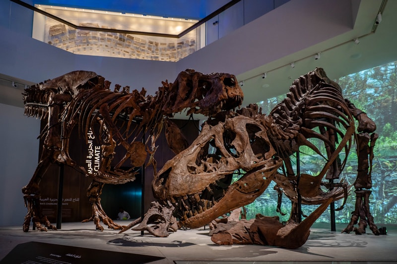 natural history museum abu dhabi opening 2025 saadiyat cultural district Tyrannosaurus Rex earth stan mecanoo blue whale specimen Stegotetrabelodon Emiratus