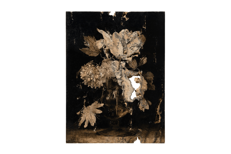 Nicola Samorì ‘Classical Collapse’ Exhibition Pinacoteca Ambrosiana Milan Museo e Real Bosco di Capodimonte Naples Italy