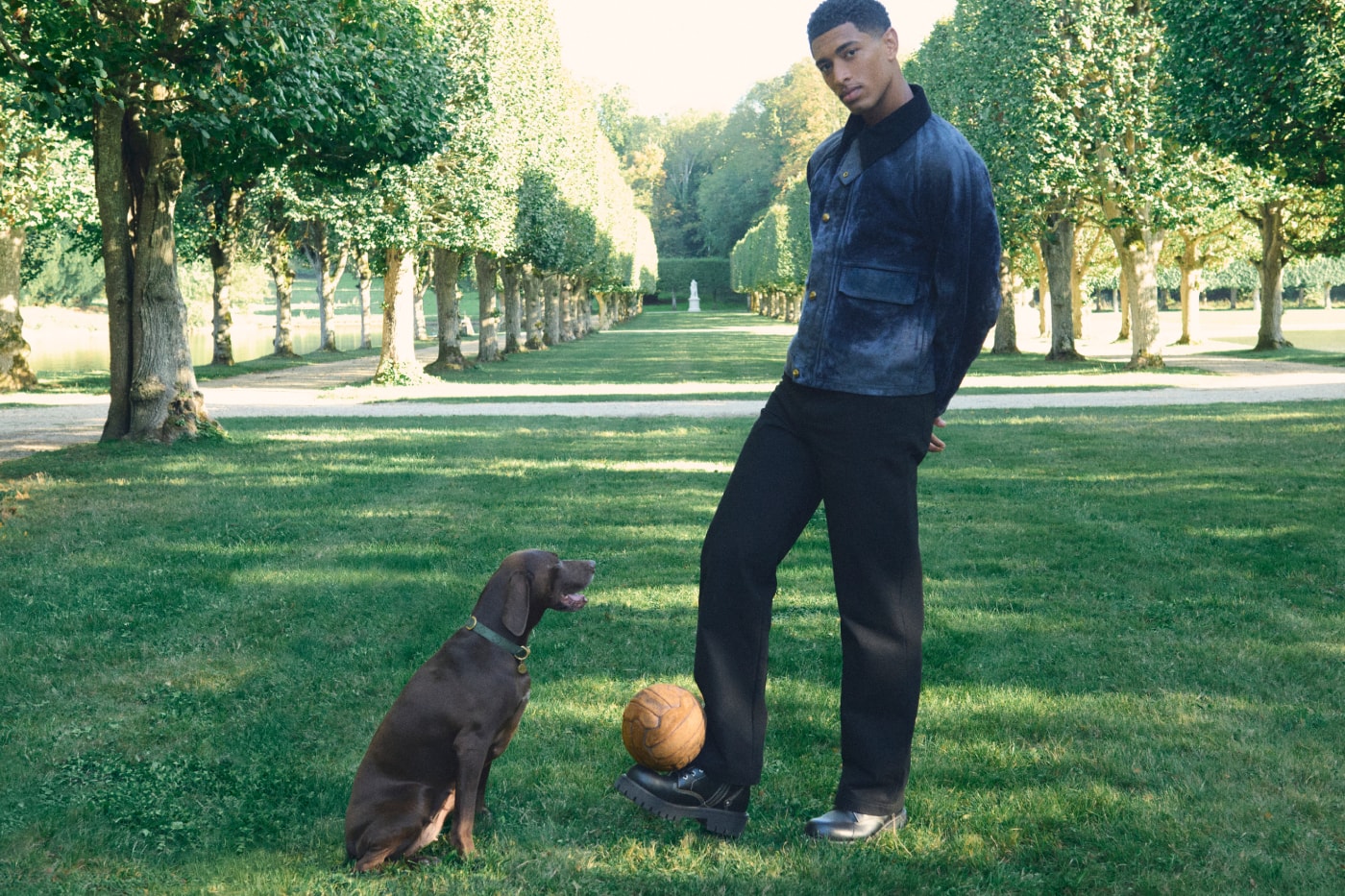 Louis Vuitton Dog Collection 2026 Release Info