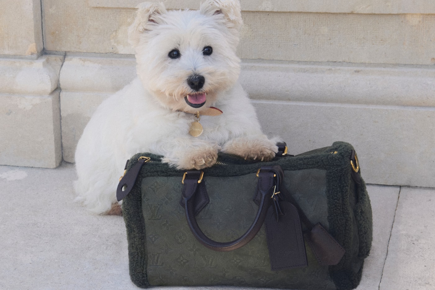Louis Vuitton Dog Collection 2026 Release Info