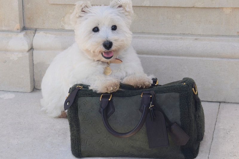Louis Vuitton Dog Collection 2026 Release Info