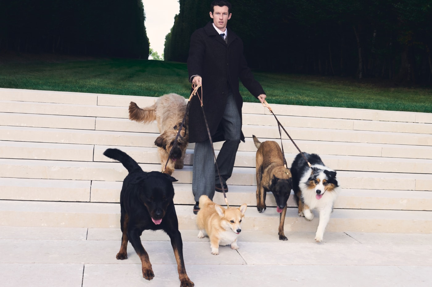 Louis Vuitton Dog Collection 2026 Release Info