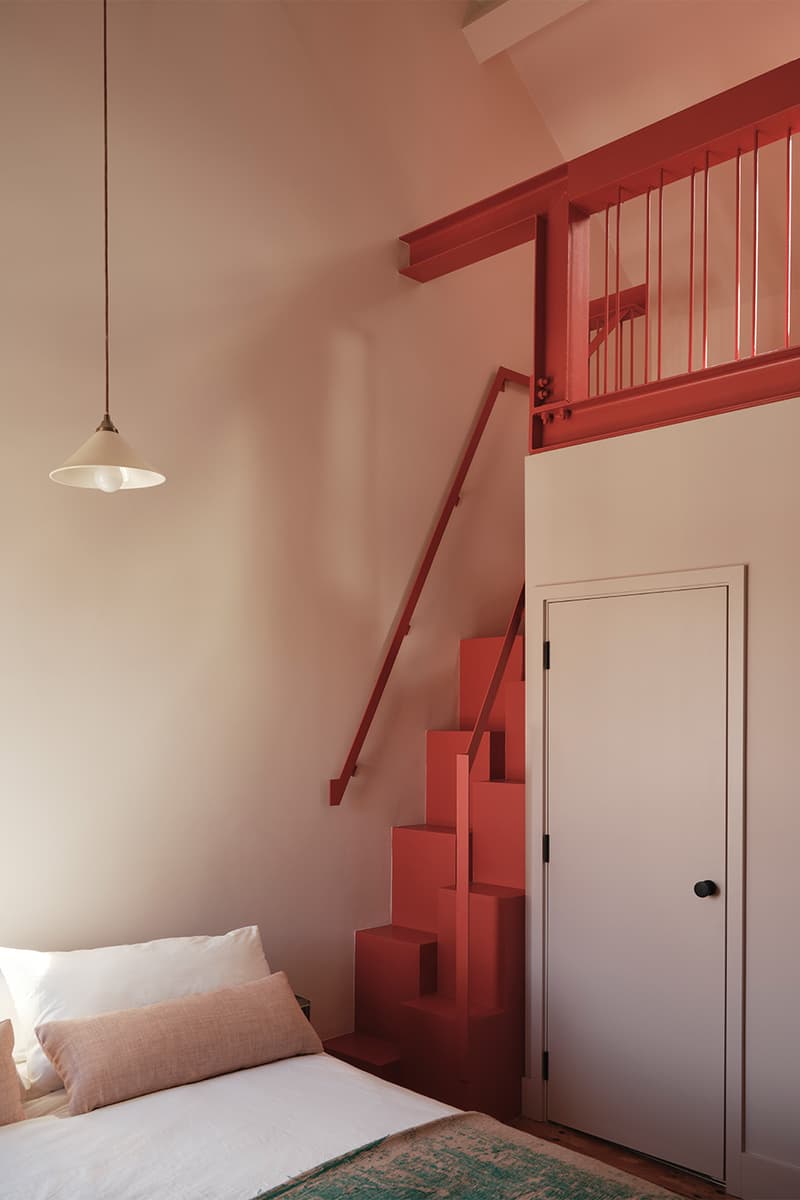 CAN Druid Grove House East Dulwich London Interiors