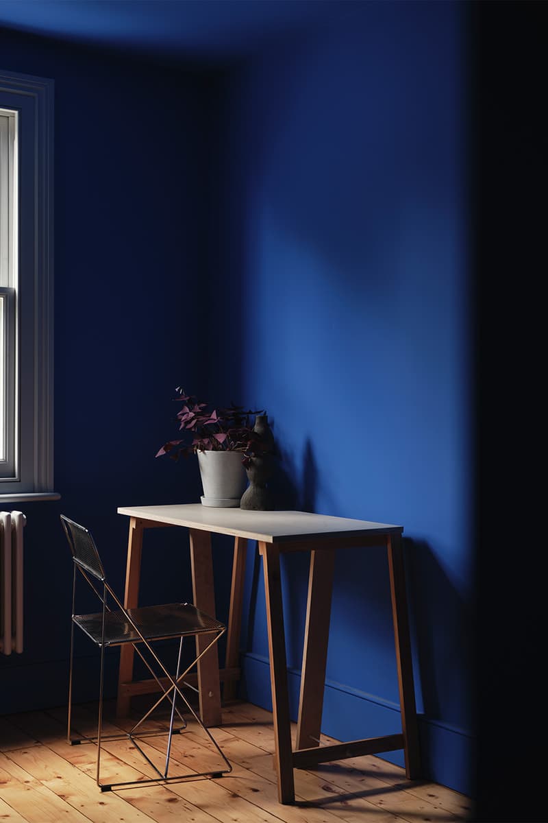 CAN Druid Grove House East Dulwich London Interiors