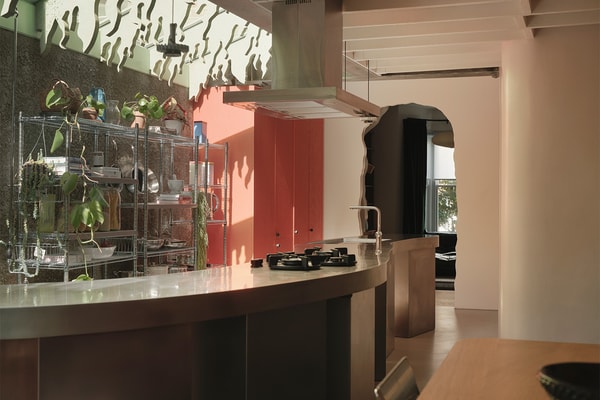 CAN Druid Grove House East Dulwich London Interiors