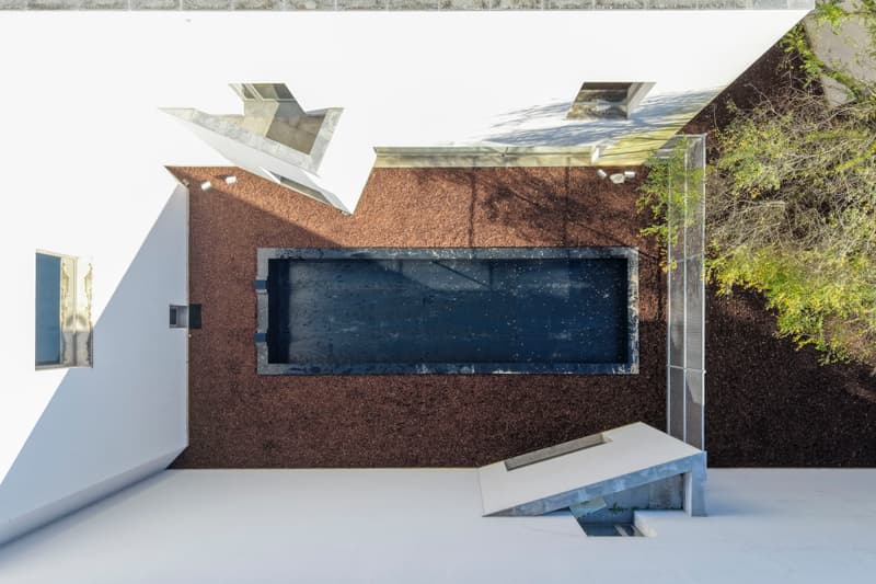 anne imhof serralves museum of contemporary art first solo exhibition