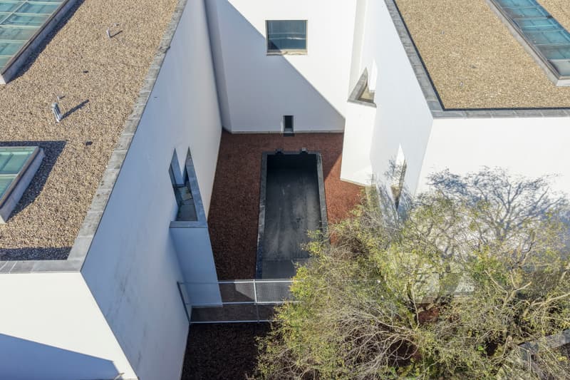 anne imhof serralves museum of contemporary art first solo exhibition