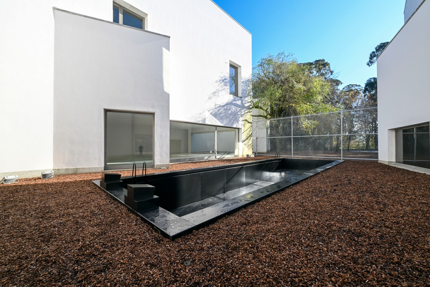 anne imhof serralves museum of contemporary art first solo exhibition