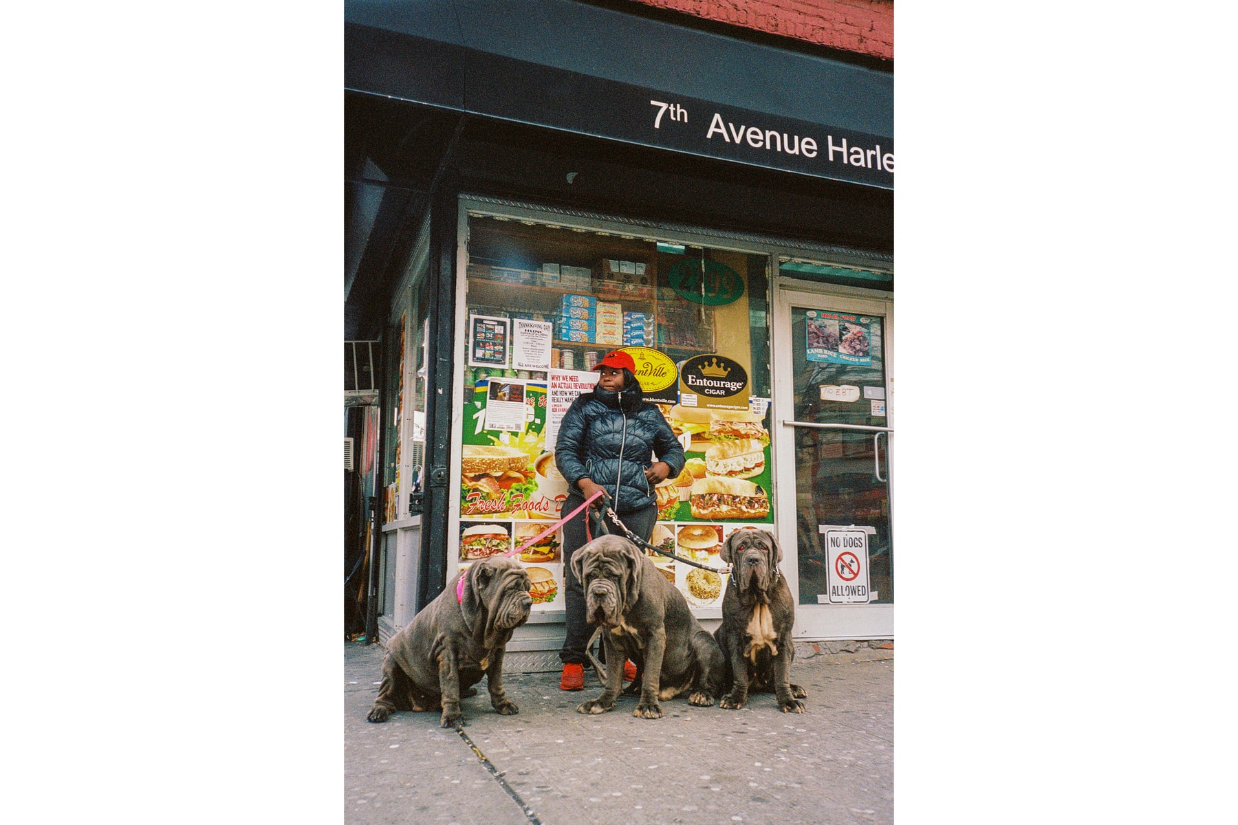 jacob consenstein through the lens photography archive campaign editorial new york city portraits landscapes creatives