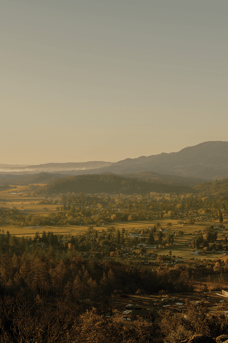 Soho House Announces Ambitious Plans for 2026, With Focus on the U.S. And Debut in Japan