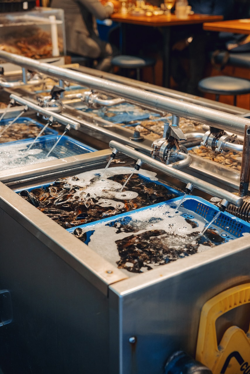 seattle travel guide familyfriend maneki butchers table in the comfort of otherworldly Bonito Café y Mercadito frida 35th north yoka tea home team 