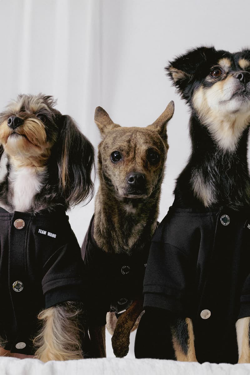 Jackson Wang TEAM WANG design "FRIENDS" Pets Lifestyle Sub-series Release Info