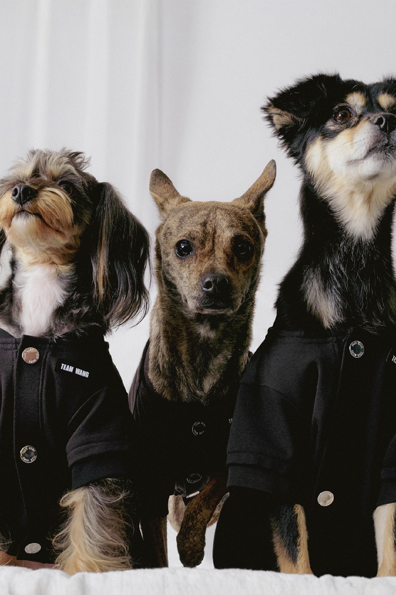 Jackson Wang TEAM WANG design "FRIENDS" Pets Lifestyle Sub-series Release Info