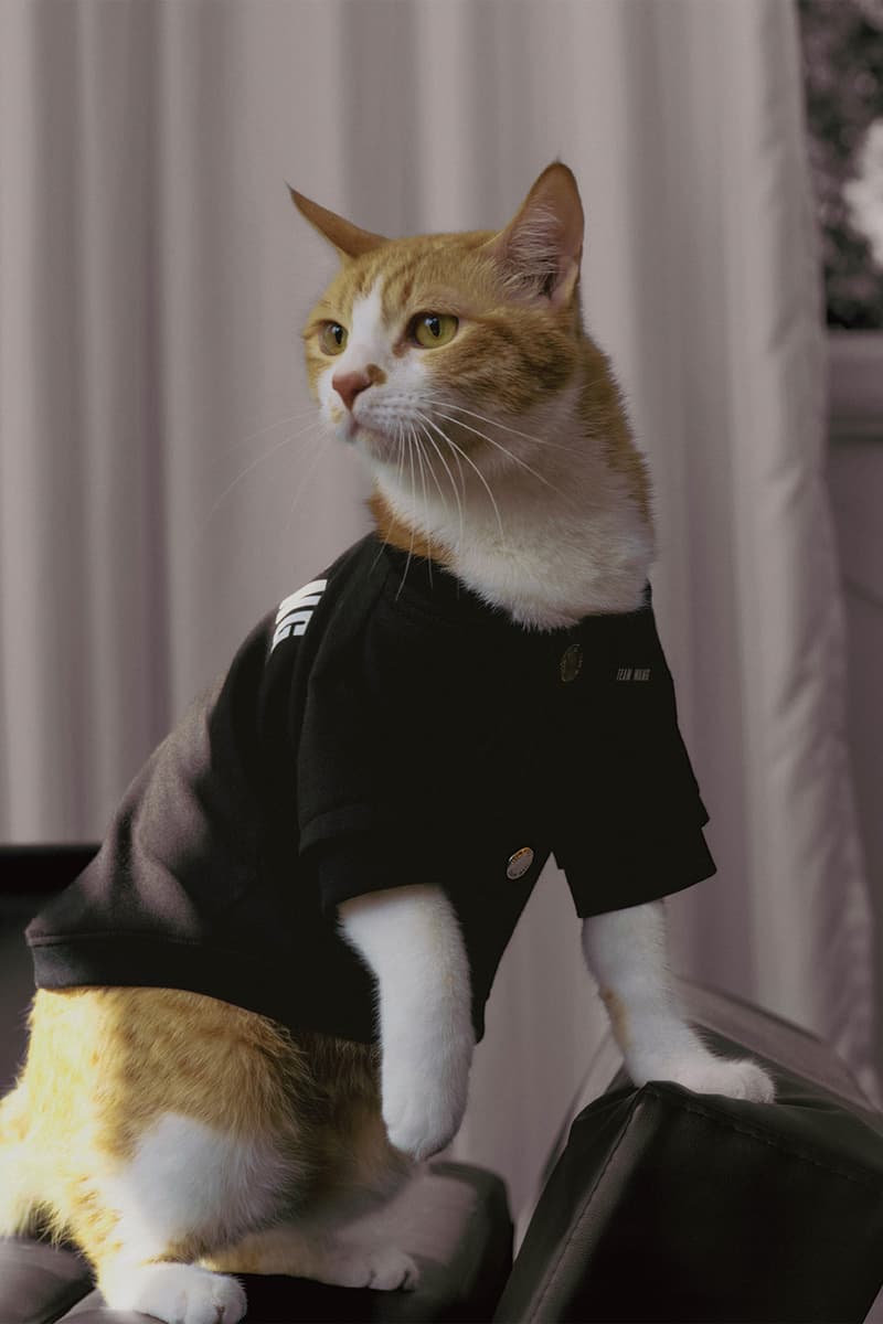 Jackson Wang TEAM WANG design "FRIENDS" Pets Lifestyle Sub-series Release Info